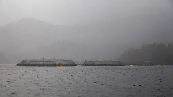 Granjas Salmón Jaula Red Abierta Ven Desde Barco Pesca Quatsino — Foto de Stock