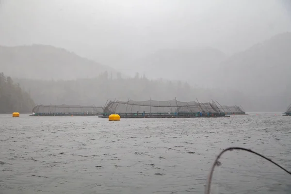Ανοιχτό Δίχτυ Κλουβί Ιχθυοτροφεία Σολομού Φαίνεται Από Ένα Αλιευτικό Σκάφος — Φωτογραφία Αρχείου