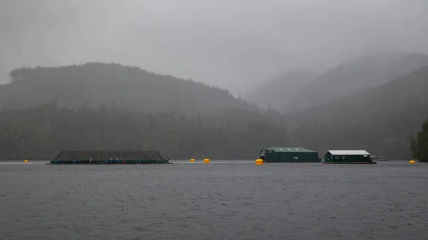 Open Net Cage Salmon Farms Seen Fishing Boat Quatsino Sound — Stock Photo, Image