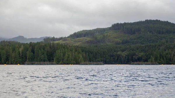 Open Net Cage Salmon Farms Seen Fishing Boat Quatsino Sound — Stock Photo, Image