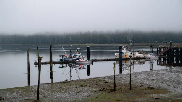 Olhando Para Cais Governo Winter Harbour Colúmbia Britânica Velho Calçadão — Fotografia de Stock