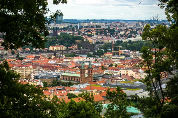 Prague from above in frame of greenery — Stock Photo, Image