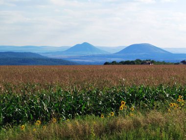 Tarlanın ve tepelerin güzel manzarası 
