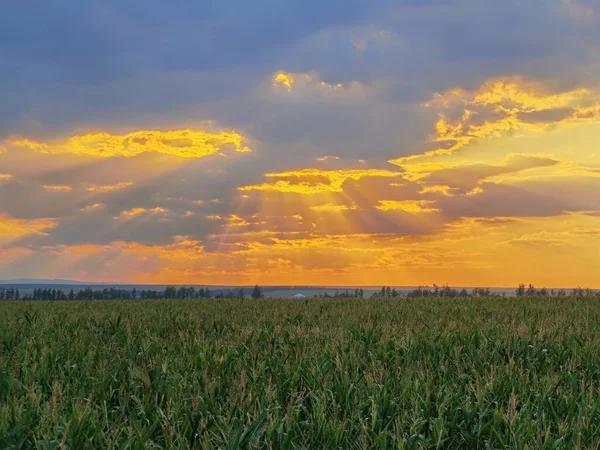 Hermosos Rayos Del Sol Través Las Nubes — Foto de Stock