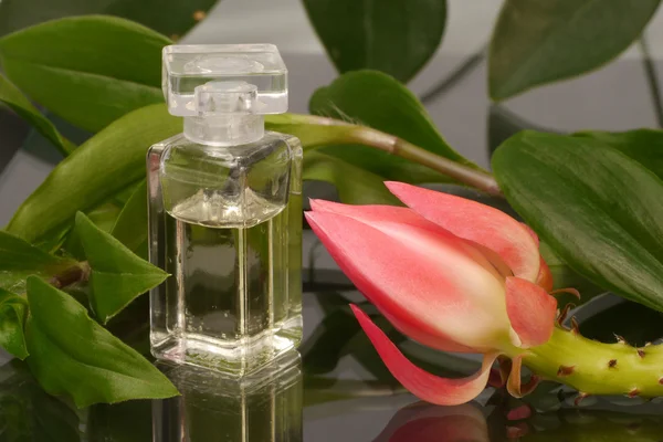 Bottle of perfume and a flower