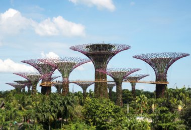 Singapur-March,2015.Gardens tarafından 20 Mart Singapur'da koyda