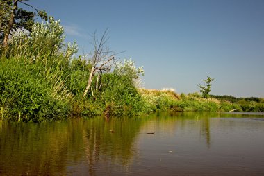 Yaz aylarında nehir Liwiec