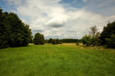 Orta orman meadows yaz aylarında güzel manzara