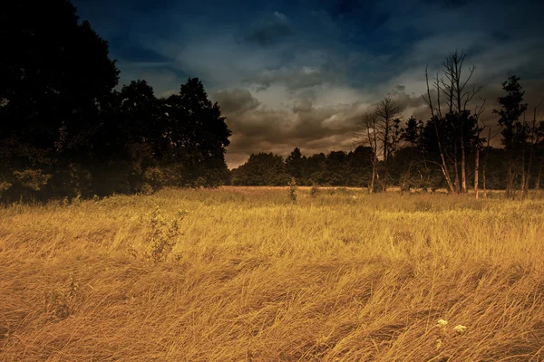 Vintage tarzı dramatik, gizemli peyzaj