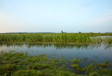 Mavi gökyüzünün altında Nehri üzerinde şafak