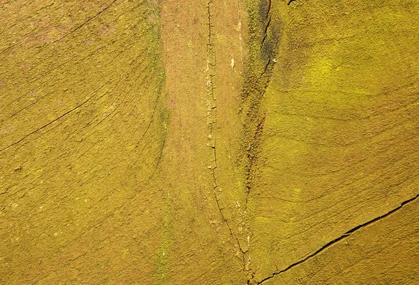 Fundo verde de madeira natural — Fotografia de Stock