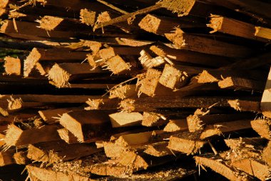 ahşap kazık kazık