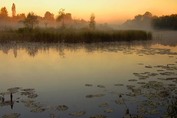 Nascer do sol acima do antigo leito do rio na Polônia — Fotografia de Stock