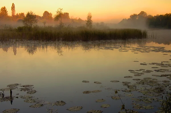 Lever de soleil au-dessus du vieux lit de la rivière en Pologne — Photo