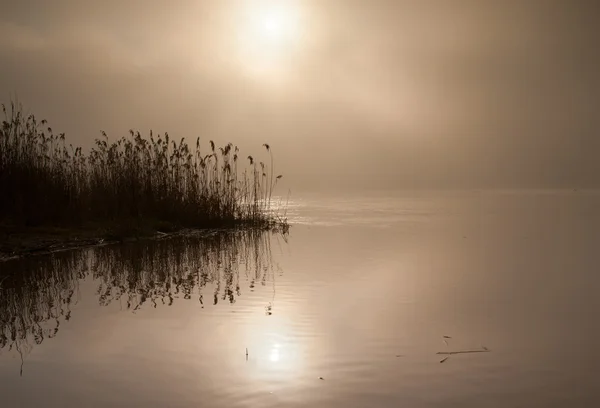 Aube brumeuse sur la rivière — Photo