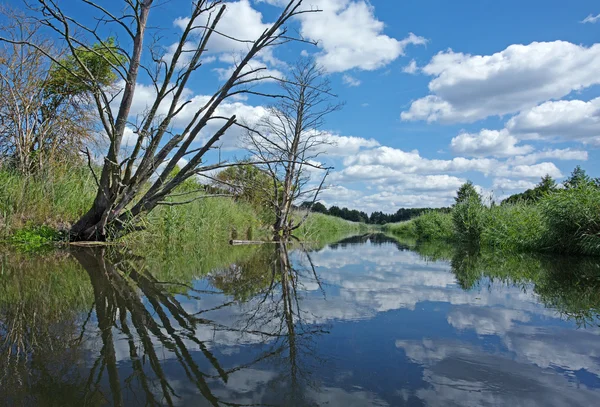Polonia.Río Brda en verano.Vista horizontal — Foto de Stock