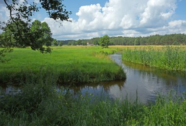 Yaz aylarında Poland.Chocina Nehri. Yatay görünüm