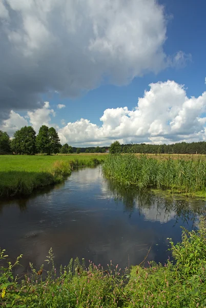 Polonia.Río Chocina en verano.Vista vertical — Foto de Stock
