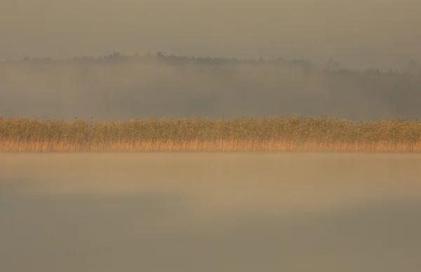 Poland.Misty autumn morning on the lake.Horizontal. — Stock Photo, Image