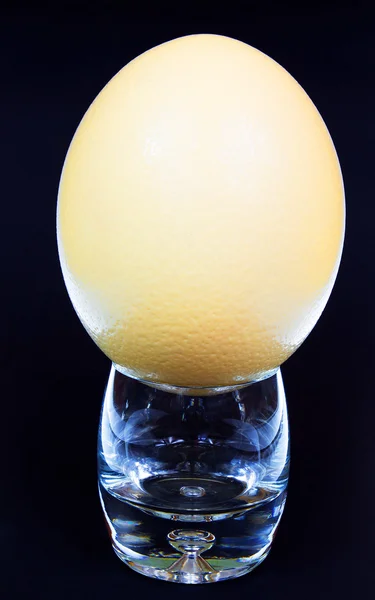 Afrikalı devekuşu yumurtası izole siyah arka plan üzerine bir bardak. Dikey.