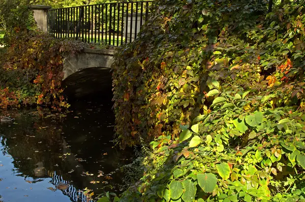 Poland.Autumn.The historische brug begroeid met vegetatie — Stockfoto