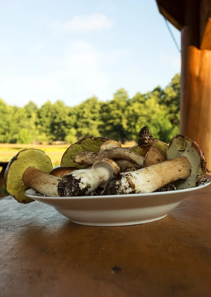 Tallrik med färska champinjoner (Boletus edulis). Vertikal — Stockfoto