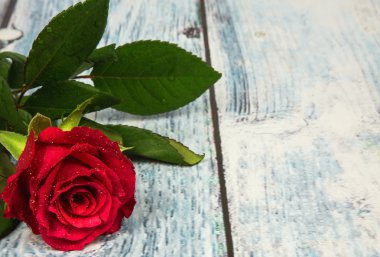 Vintage etkisi ile ahşap arka plan üzerinde kırmızı gül