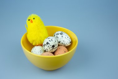 Easter izole dekorasyon açık mavi