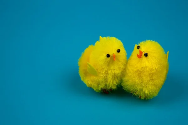 Osterküken auf blauem Hintergrund — Stockfoto