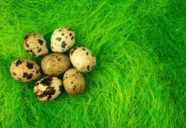 ウズラの卵イースター装飾、緑の草の上 — ストック写真