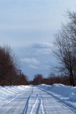 Ağaçların arka planında yapraksız kış yolu.