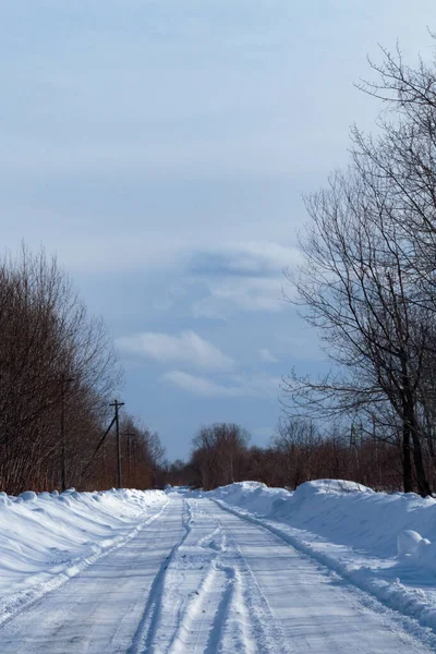Ağaçların arka planında yapraksız kış yolu.