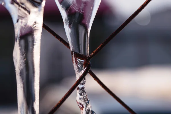 Paslı bir ağ üzerinde donmuş buz saçağı..