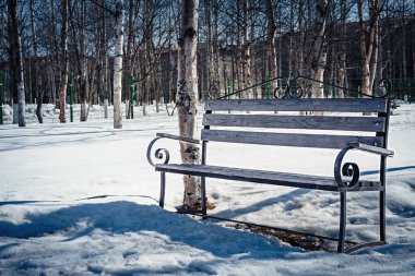 Bir kış parkında, ağaçların arka planında bankta..