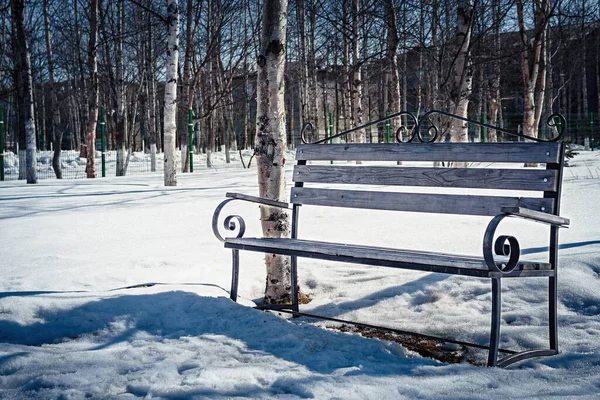 Bir kış parkında, ağaçların arka planında bankta..
