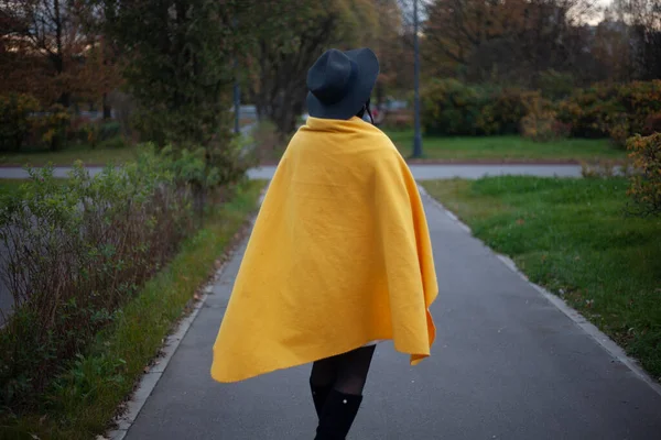 Kallt höstväder i parken. — Stockfoto