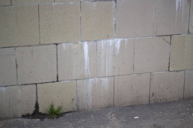 Şımarık fayanslar. Nemle seramik fayansların tahrip edilmesi. 