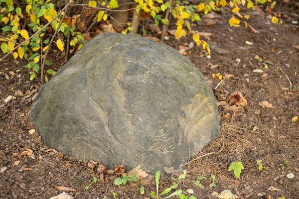 Steen in het park. Een grote rotsblok is ingebed in de grond. Landscaping. — Stockfoto