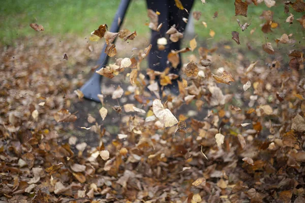 Luftturbin för skörd av torra blad. Trädgårdsmästaren blåser ut gamla löv. — Stockfoto