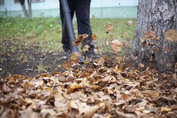 Légturbina száraz levelek betakarításához. A kertész régi leveleket fúj ki.. — Stock Fotó