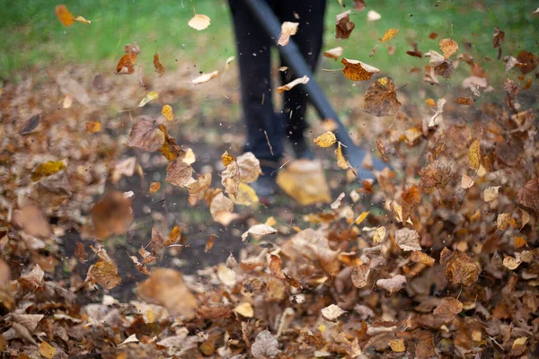 Turbine à air pour la récolte de feuilles sèches. Le jardinier souffle de vieilles feuilles. — Photo