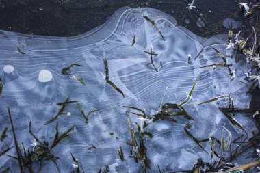 Nehirdeki buzun dokusu. Nehrin kıyısı kışın donar. Bitkiler buzun içinde dondular. Doğal ışık arka planı. Doğal detayların güzelliği.