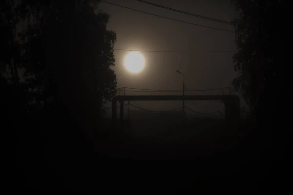在街上的模糊的早晨 一大早在城外 水蒸发产生的烟雾 黎明前的春雾 — 图库照片