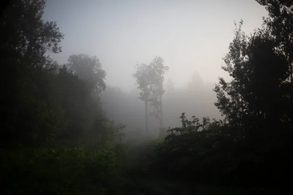 Mlhavé Ráno Ulici Brzy Ráno Mimo Město Mlha Odpařování Vody — Stock fotografie