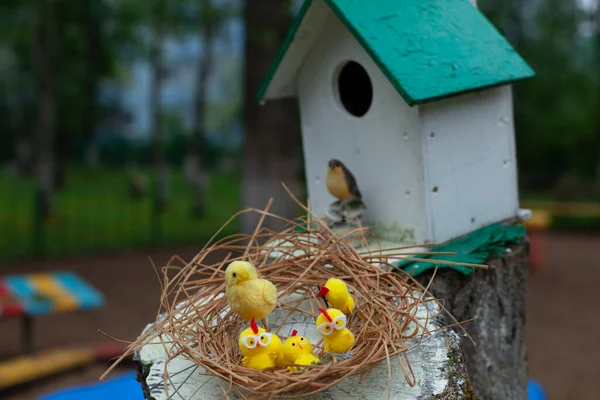 Polli Nel Nido Polli Sono Fatti Lana Decorazione Cortile Nella — Foto Stock