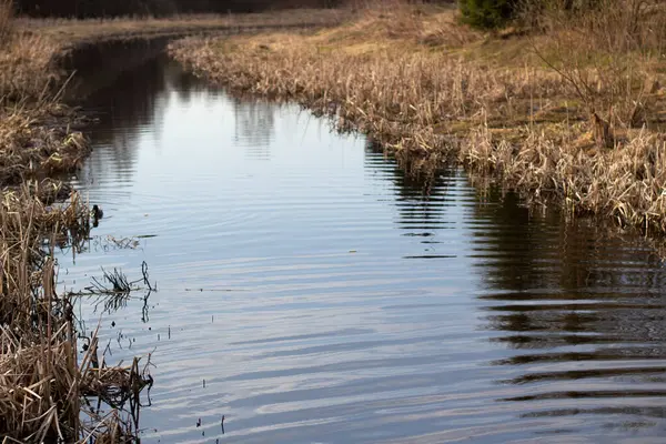 Lugn Flod Liten Liten Dal Flod Där Det Lätt Att — Stockfoto