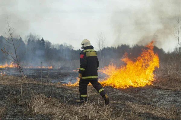 A firefighter extinguishes dry grass. A firefighter is fighting a fire in an open area. Rescuer actions against flames. An ecological catastrophe burns a dry field.