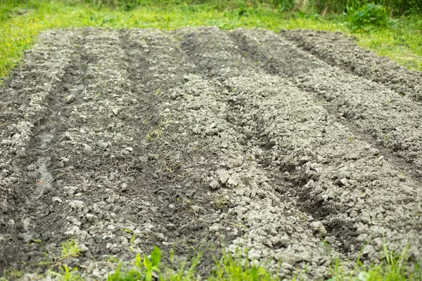 Geploegd Land Plantentuin Het Terrein Plantvoorbereiding Opgegraven Grond Voor Groenten — Stockfoto