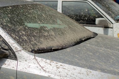 Araba çamurla kaplanmış. Yolculuktan sonra Ipachkana arabası. Aracın yüzeyine çimento sıçramış..