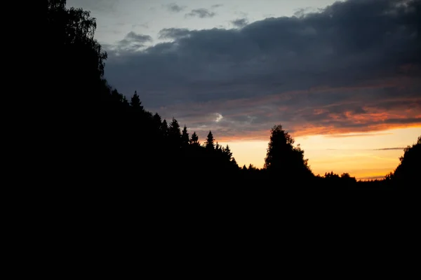 Gün Batımında Orman Ormanın Silueti Akşam Gökyüzünün Arka Planına Karşı — Stok fotoğraf